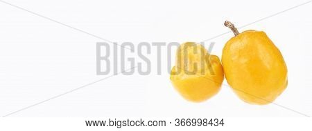 Spondias Purpurea - Plum, Jobo, Xocote, Plum Of Huesito, Jocote, Cocota