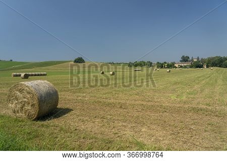 Rural Landscape Near Medesano, In Parma Province, Emilia-romagna, Italy, At Summer