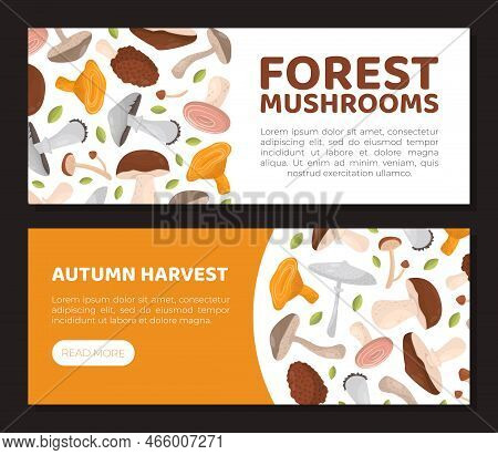 Tasty Mushrooms Flyer, Landingpage Templates Set. Eco Organic Vegetarian Product Web Banner, Landing