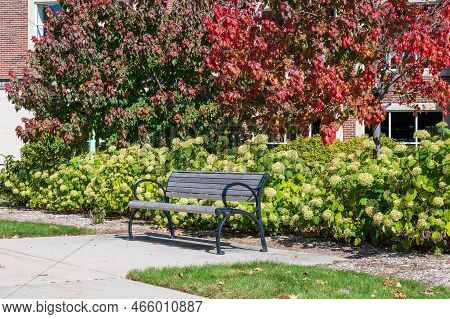 Stylish Empty Bench On A Summery Day Next To A Sidewalk With Copy Space