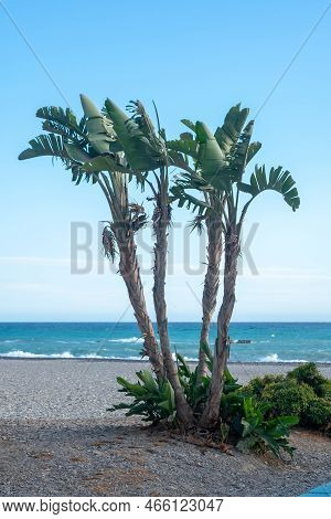 Costa Tropical Beach In Almuñecar In The Province Of Granada, Andalusia, Spain. Europe. September 29
