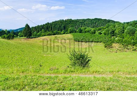 低アイフェルの山々 の風景