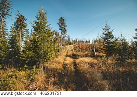 Forest Trail Leading Through The Beskydy Mountains. Open Space In A Clearing With Blue Sky. Enjoying