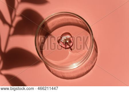 Drop Of Face Serum, Oil And Flower In Petri Dish. Natural Medicine, Cosmetic Research. Concept Of Sk