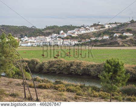 View Of The Odeceixe, White Houses Traditional Village, Rio Seixe River And Green Fields With Grazin