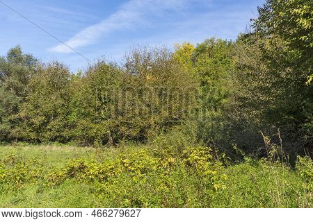 Amazing Landscape Of Vit River, Passing Near Village Of Aglen, Bulgaria