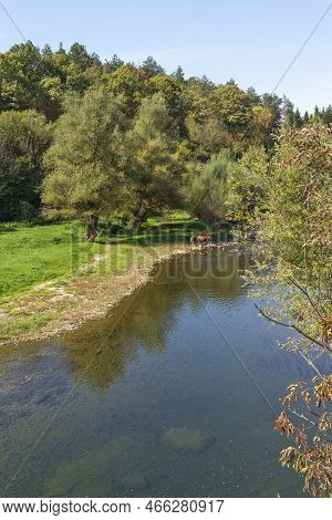 Amazing Landscape Of Vit River, Passing Near Village Of Aglen, Bulgaria