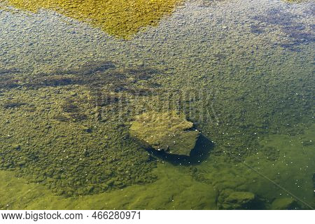 Amazing Landscape Of Vit River, Passing Near Village Of Aglen, Bulgaria