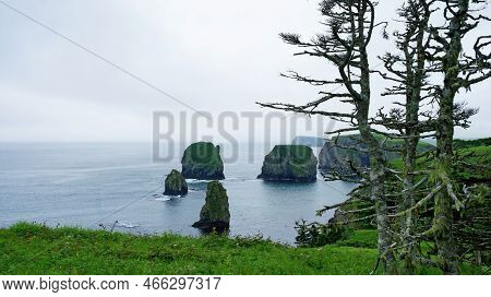 Green Cliffs And Bay Of Kuril Islands. Shikotan.