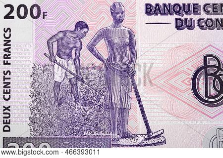 Fieldwork From Old Congolese Money - Franc