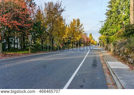 Autumn Trees Line A Streeet In Seatac, Washington.