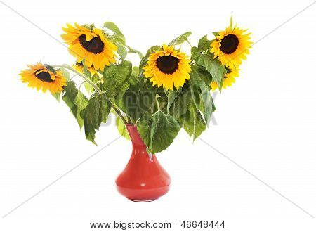 Girasoles en jarrón
