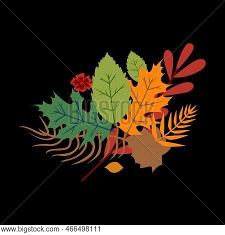 Autum Leaves Falling As A Seasonal Fall Design With Colorful Foliage Blowing Leaf Design