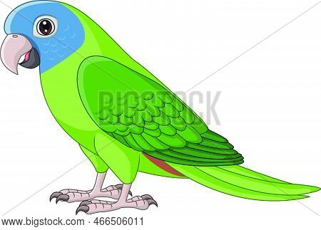 Vector Illustration Of Cartoon Blue Crown Conure Parrot