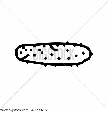 Cucumber Rotten Food Line Icon Vector. Cucumber Rotten Food Sign. Isolated Contour Symbol Black Illu