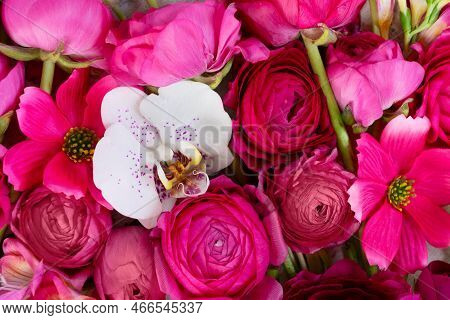Flowers Composition. Floral Natural Background Made Of Magenta Colored Rununculus And Orchid Flowers