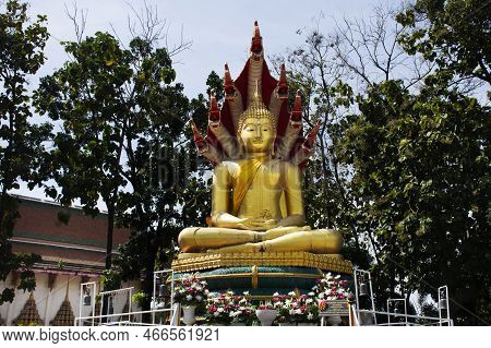 Buddha Attitude Of Meditation Protected Cover Head By Mythical Serpent Or Naga Prok For Thai People