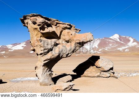 Stone Tree Rock, Bolivia. Bolivian Landmark. Arbol De Piedra