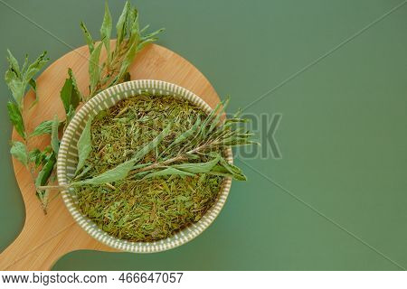 Stevia .alternative Low Calorie Vegetable Sweetener.dried Stevia And Green Twig In A Cup On A Olive 