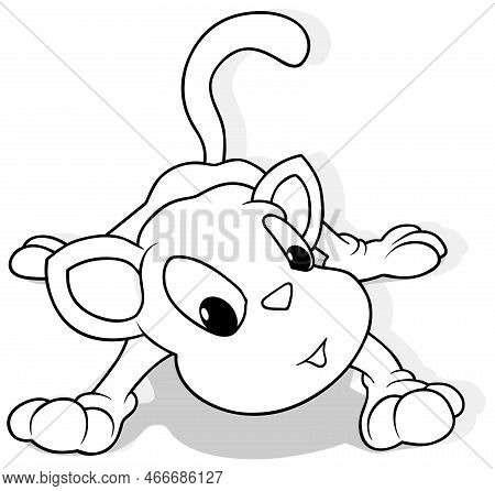 Drawing Of A Kitty On All Four Paws From Front View - Cartoon Illustration Isolated On White Backgro