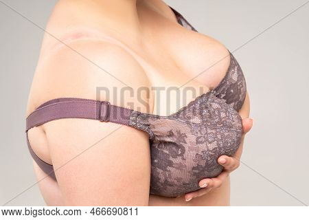 Big Natural Breasts In A Lace Bra Close-up, Biggest Boobs On Gray Background