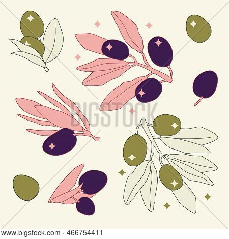 Dark Olives And Green Olives. Cartoon Line Art Flat Illustration. Charm Olive Tree Branches With Ber