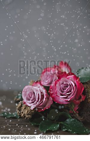 Flower Arrangement Of Pale Pink Roses With A Driftwood On A Wooden Table Under Falling Snow On A Gra