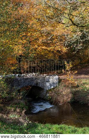 The Weir Water River Flowing Under Robbers Bridge In Exmoor National Park