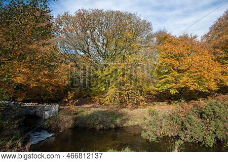 Robbers Bridge In Exmoor National Park