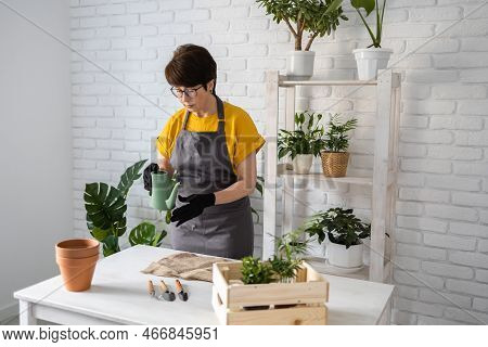 Spring Houseplant Care, Repotting Houseplants. Waking Up Indoor Plants For Spring. Middle Aged Woman