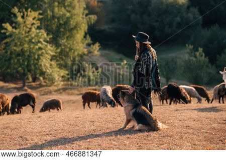 Female Shepherd With A Dog Grazes A Flock On The Lawn