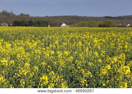 País de Courson, Essonne, Ile De France, Francia