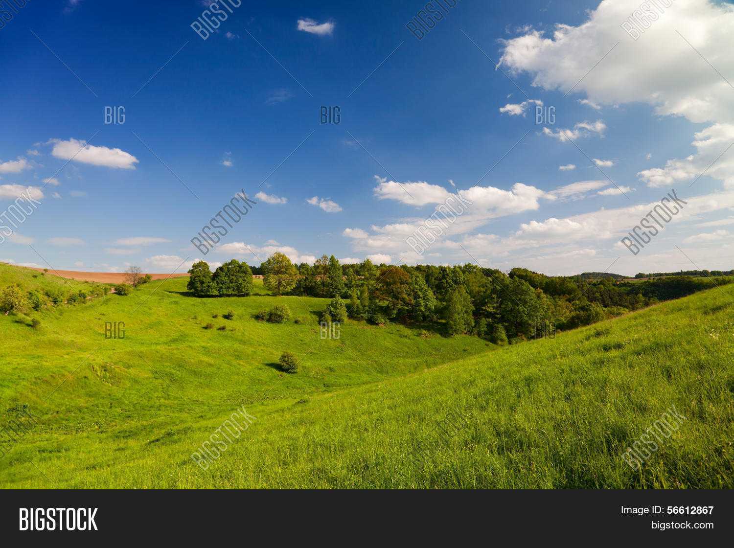 Image Preview