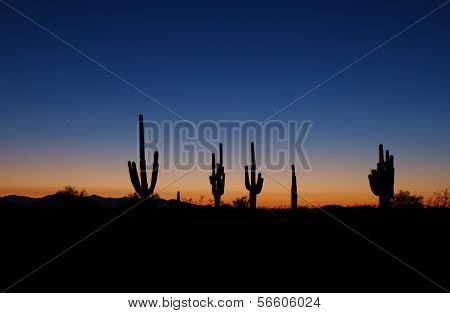 Desert Sunset Colection
