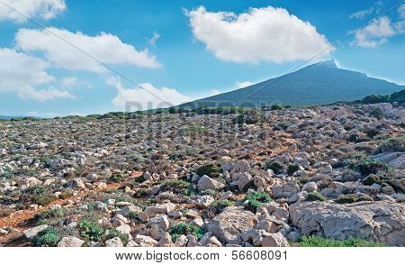 Capo Caccia White Rocks