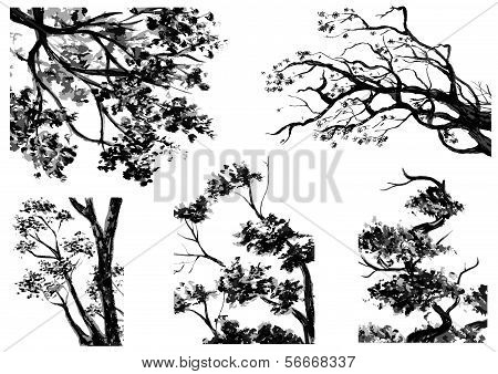 Watercolor Trees set