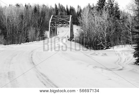 Stella bridge through a forest