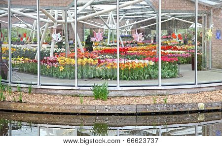Keukenhof - Garden Of Europe, Netherlands