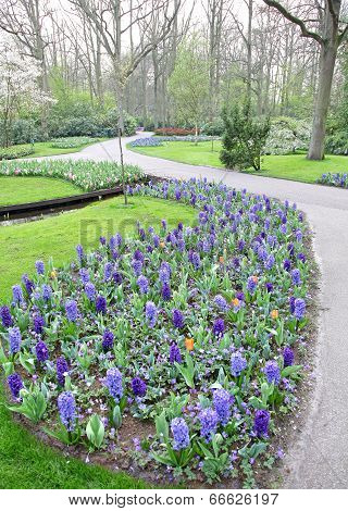 Keukenhof - Garden Of Europe, Netherlands