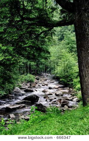 Arroyo de montaña