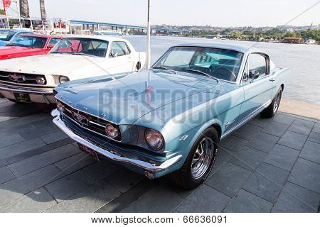 Concours D'elegance