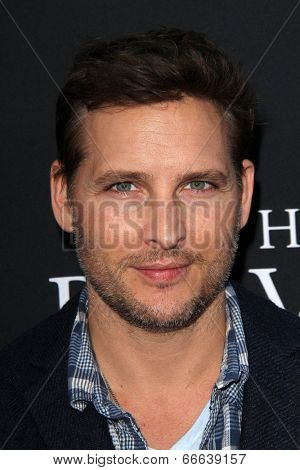 LOS ANGELES - JUN 12:  Peter Facinelli at the 