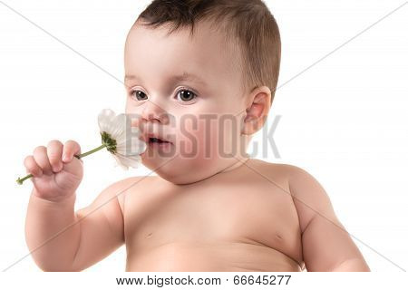 baby smelling flower