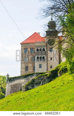 Castle Pieskowa Skala In National Ojcow Park, Poland