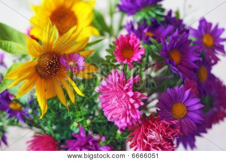 Blumen für Geliebte