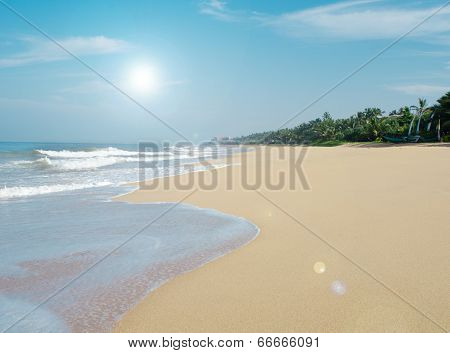 Summer with sandy beach on Sri Lanka