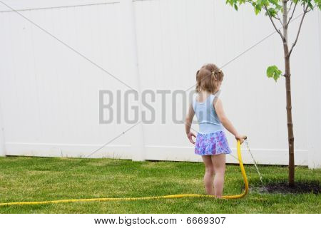 Bir ağaç büyümeye yardımcı