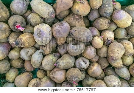 Elephant Yam