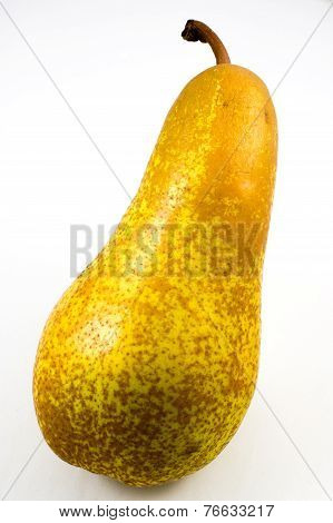 Abate Fetel, Typical Italian Pear