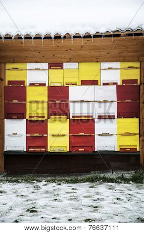 Bee Hive In Winter